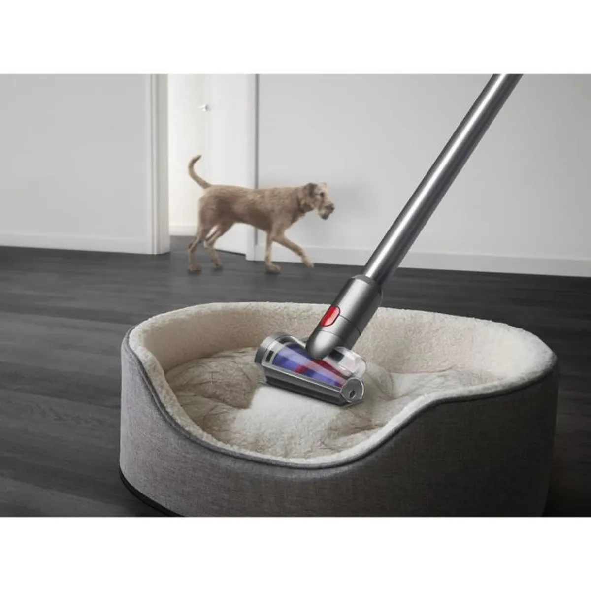 ASPIRATEUR DYSON V15 DETECT ABSOLUTE